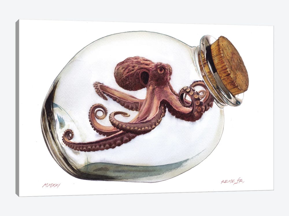 Octopus In Bottle II by REME Jr 1-piece Canvas Print