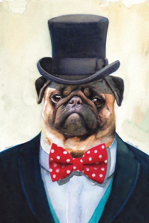 Sir Pug