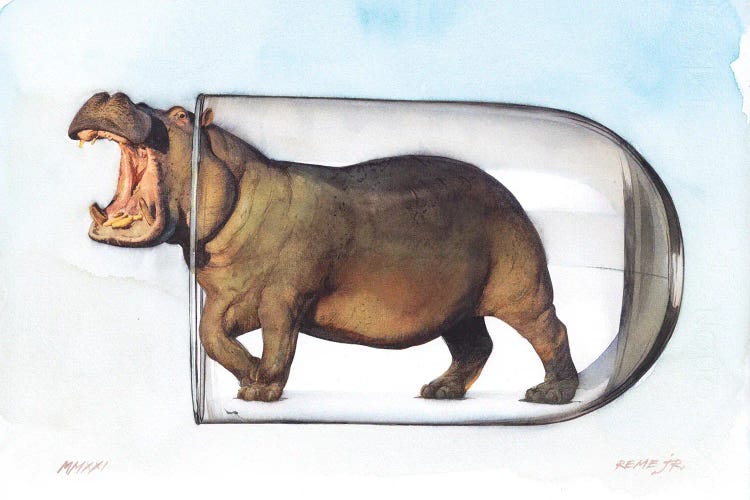 Hippopotamus In Glass II