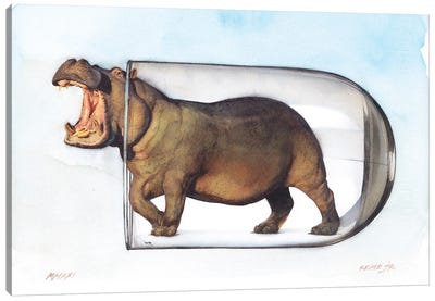 Hippopotamus In Glass II Canvas Art Print - Hippopotamus Art