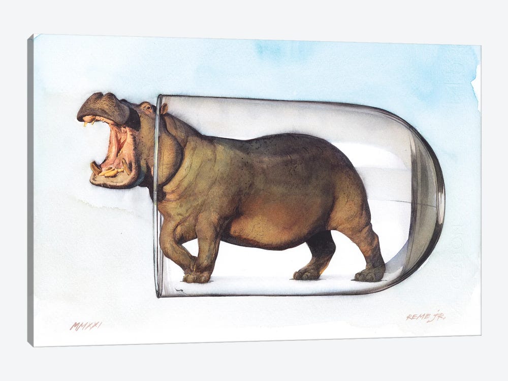 Hippopotamus In Glass II by REME Jr 1-piece Canvas Art Print