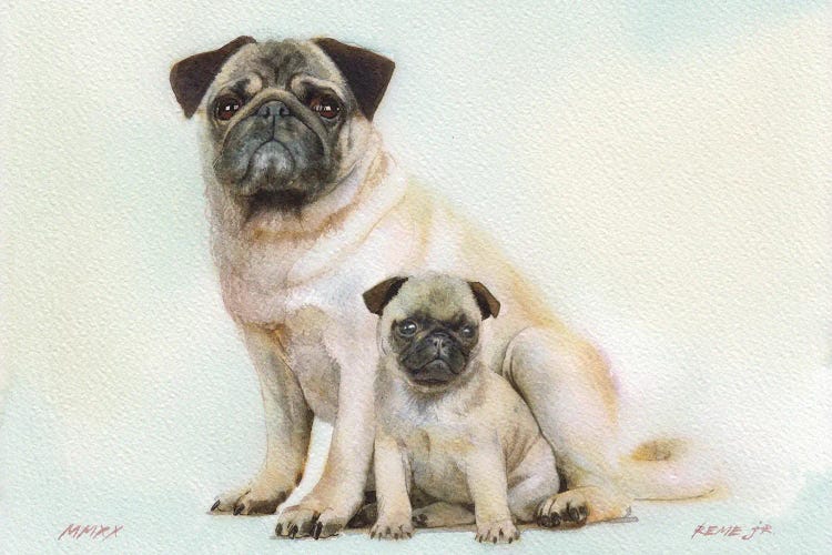 Pugs IV