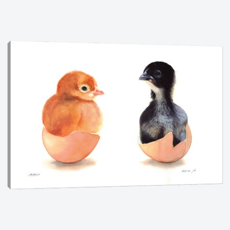 Cute Chickens Canvas Print #RJR35} by REME Jr Canvas Print