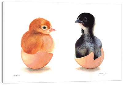 Cute Chickens Canvas Art Print - REME Jr