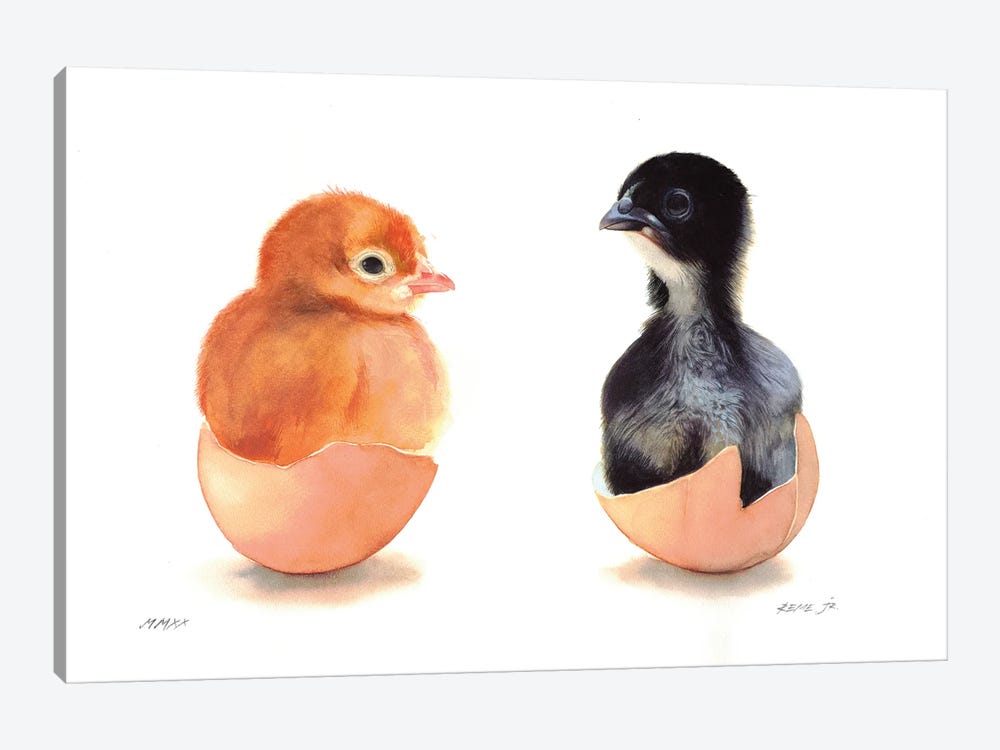Cute Chickens by REME Jr 1-piece Canvas Artwork