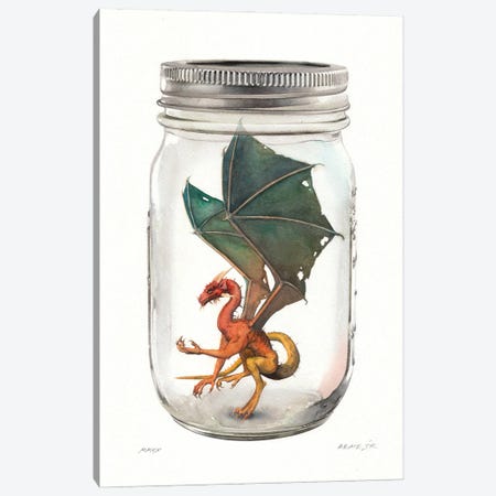 Dragon In Jar II Canvas Print #RJR36} by REME Jr Canvas Print