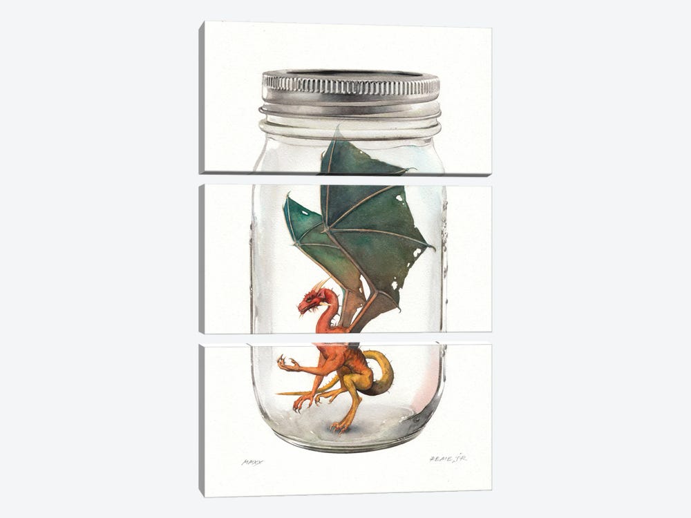 Dragon In Jar II by REME Jr 3-piece Canvas Art Print