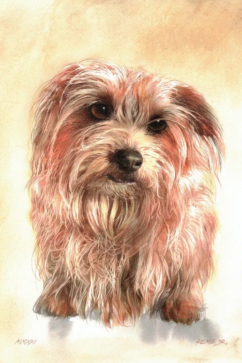 Dog II