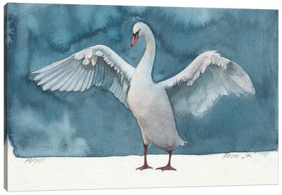 Bird LXIV Canvas Art Print - Goose Art