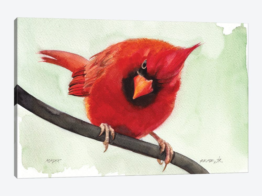 Bird LVI by REME Jr 1-piece Canvas Artwork