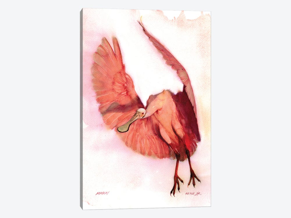 Roseate Spoonbill I by REME Jr 1-piece Canvas Art