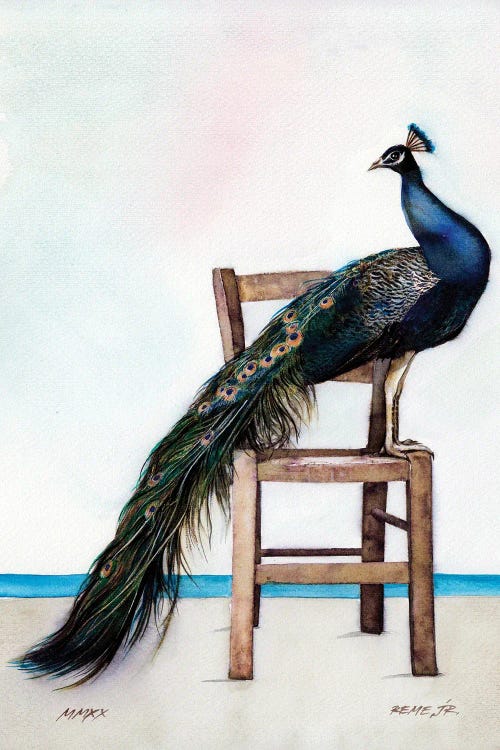 Peacock II