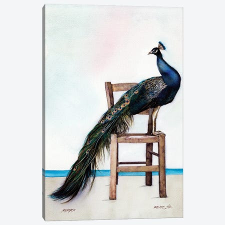 Peacock II Canvas Print #RJR50} by REME Jr Canvas Artwork