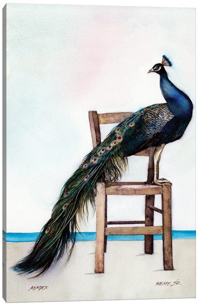Peacock II Canvas Art Print - REME Jr