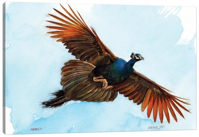 Peacock III Canvas Art Print - REME Jr