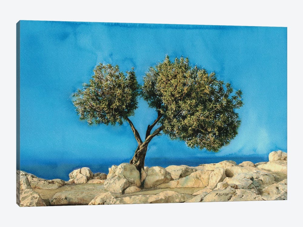 Olive Tree On Greek Island Thassos X by REME Jr 1-piece Canvas Art