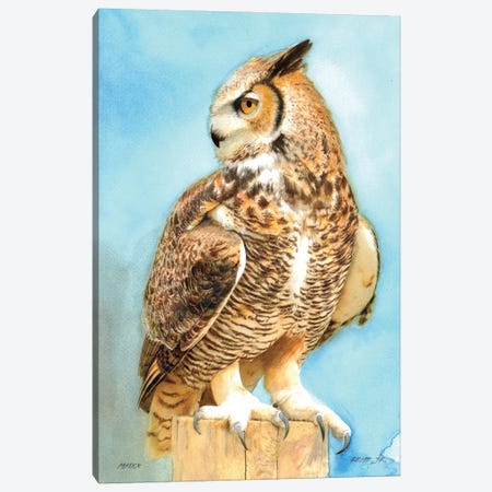 Owl CXIII Canvas Print #RJR55} by REME Jr Canvas Print