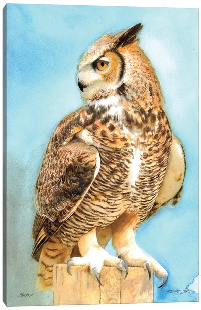 Owl CXIII Canvas Art Print - REME Jr