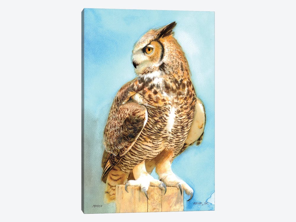 Owl CXIII by REME Jr 1-piece Canvas Artwork