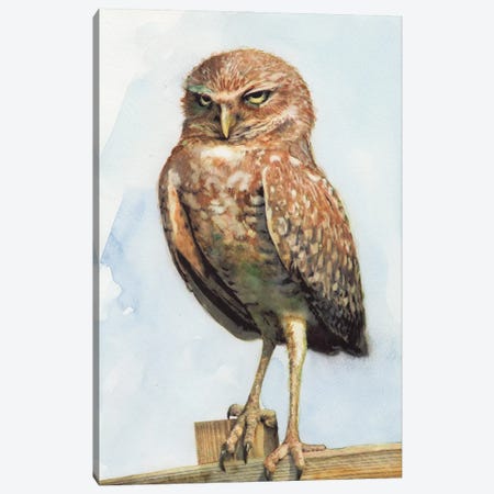 Owl III Canvas Print #RJR56} by REME Jr Art Print