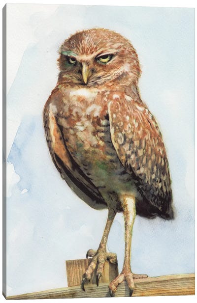 Owl III Canvas Art Print - REME Jr