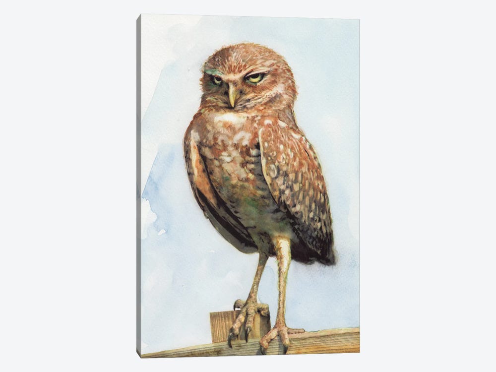 Owl III by REME Jr 1-piece Canvas Art Print