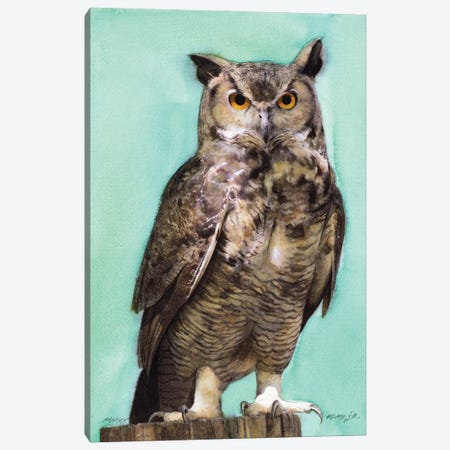 Owl CI Canvas Print #RJR57} by REME Jr Canvas Art Print