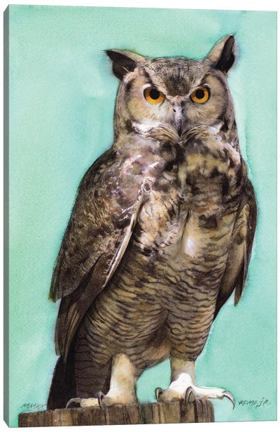 Owl CI Canvas Art Print - REME Jr
