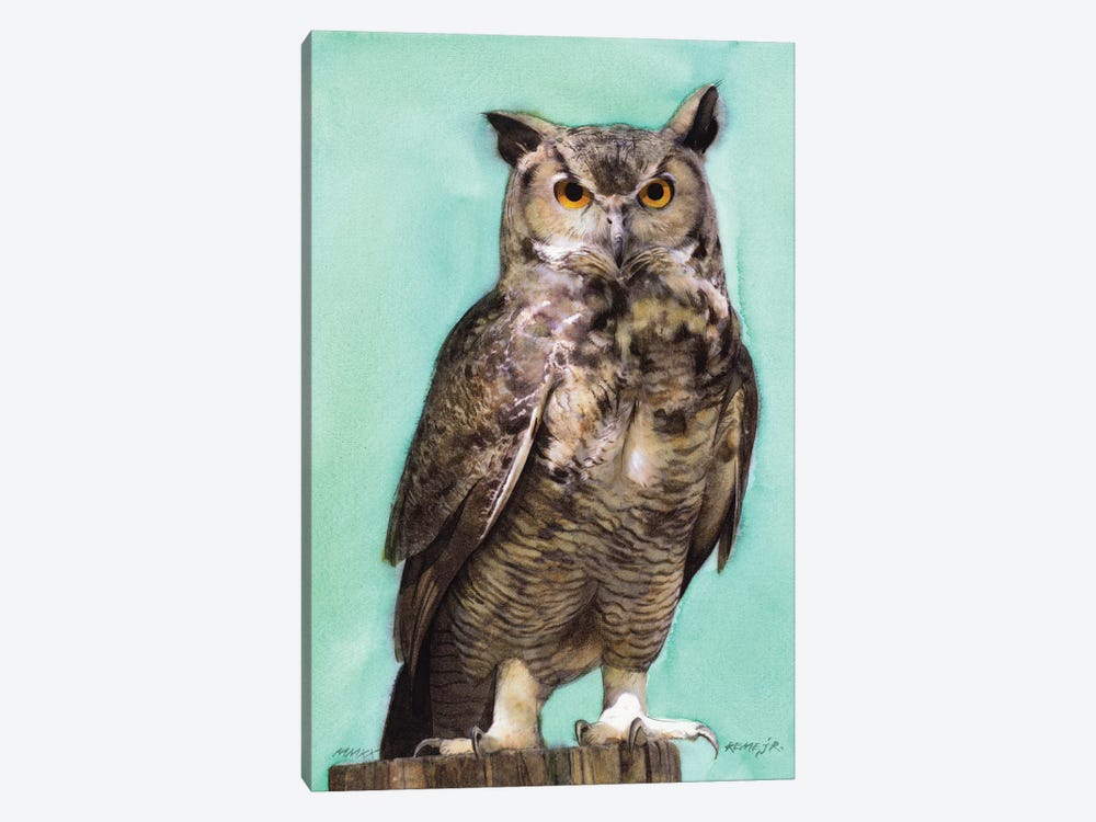Owl CI by REME Jr 1-piece Canvas Wall Art