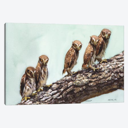 Cute Little Owls Canvas Print #RJR58} by REME Jr Canvas Artwork