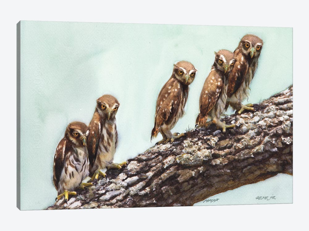 Cute Little Owls by REME Jr 1-piece Canvas Print