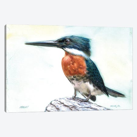 Kingfisher Bird CXXV Canvas Print #RJR59} by REME Jr Canvas Wall Art