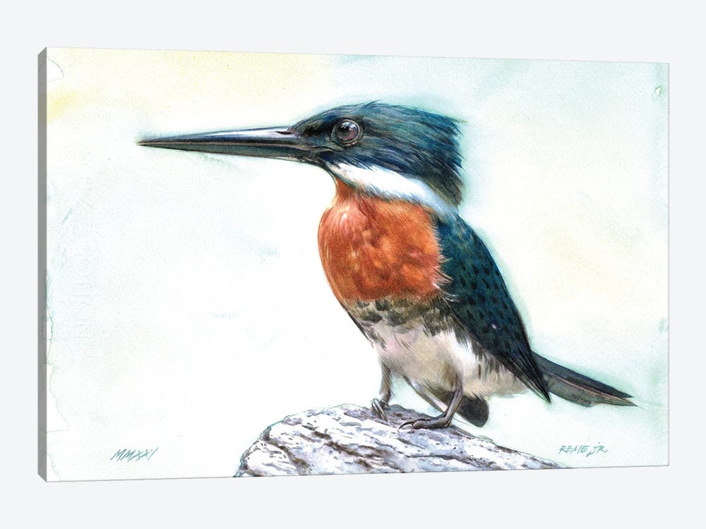Kingfisher Bird CXXV by REME Jr 1-piece Canvas Art