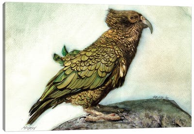 Bird CXXVI Canvas Art Print - REME Jr