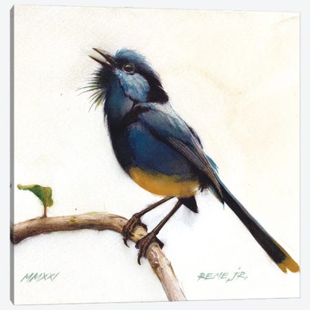 Bird CLXVII Canvas Print #RJR63} by REME Jr Canvas Art Print