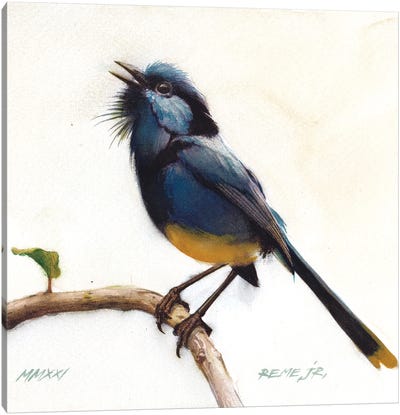 Bird CLXVII Canvas Art Print - REME Jr