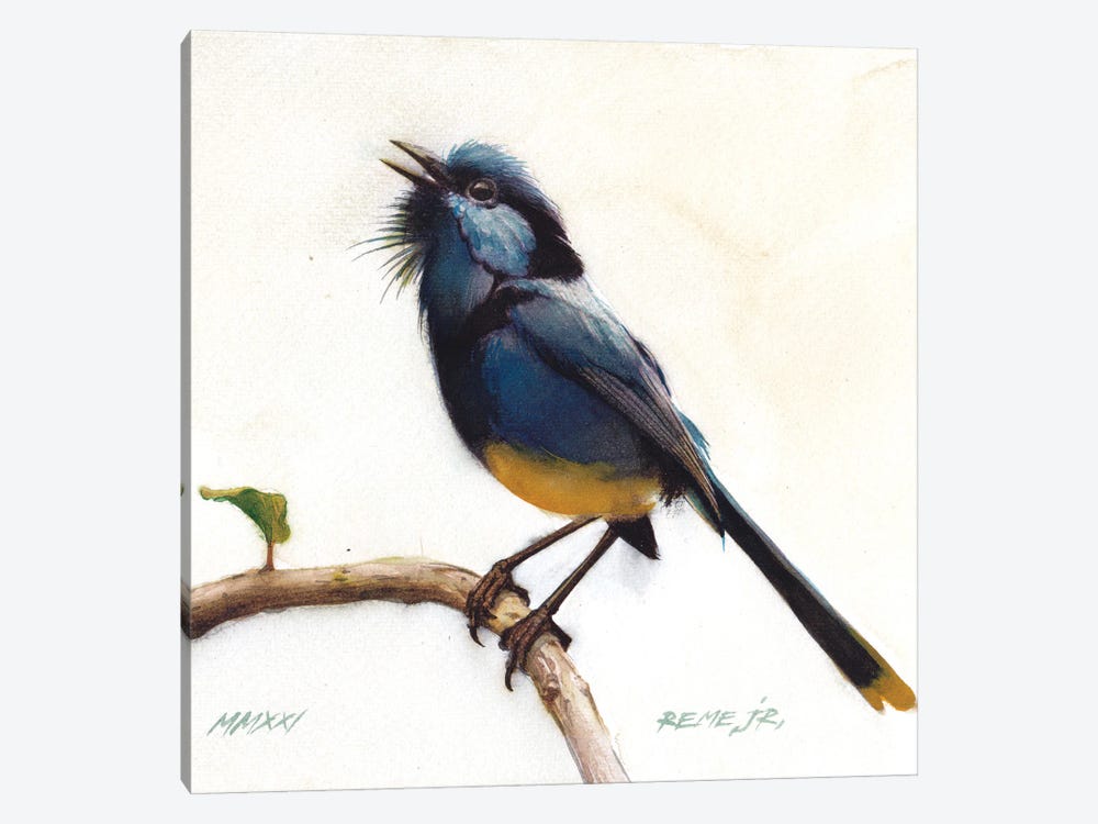 Bird CLXVII by REME Jr 1-piece Canvas Print