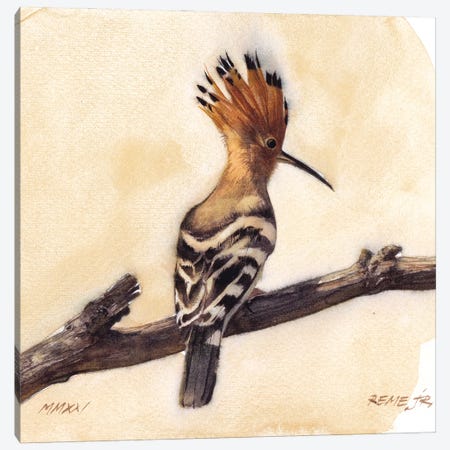 Bird CLXVI Canvas Print #RJR64} by REME Jr Canvas Artwork