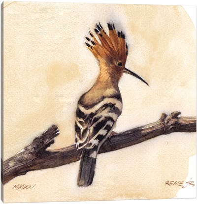 Bird CLXVI Canvas Art Print - REME Jr
