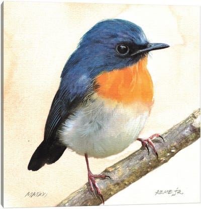 Bird CXXXIII Canvas Art Print - REME Jr