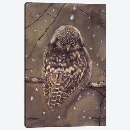 Owl Bird CLXIII Canvas Print #RJR66} by REME Jr Canvas Artwork