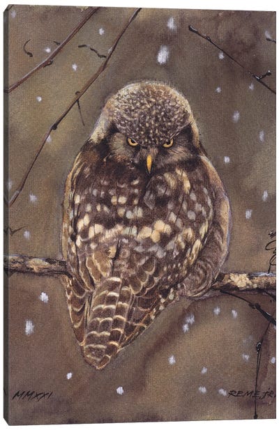 Owl Bird CLXIII Canvas Art Print - REME Jr