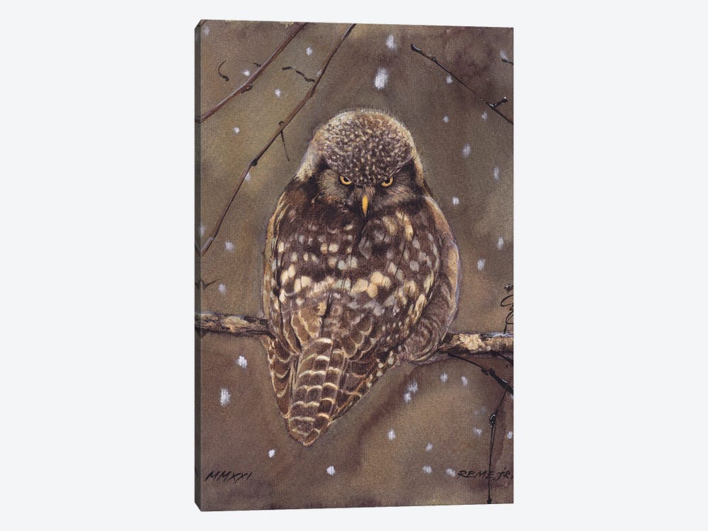 Owl Bird CLXIII by REME Jr 1-piece Canvas Wall Art