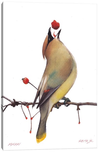 Bird CLXIV Canvas Art Print - REME Jr