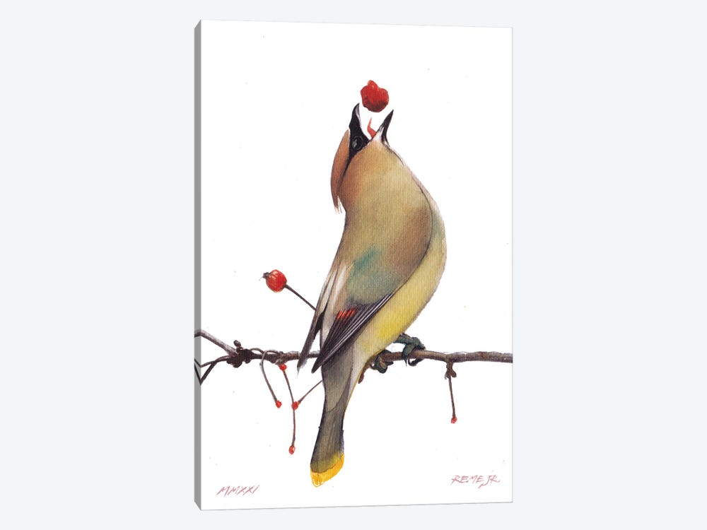 Bird CLXIV by REME Jr 1-piece Canvas Art Print