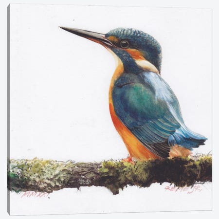 Bird CLX Canvas Print #RJR68} by REME Jr Canvas Print