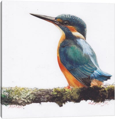 Bird CLX Canvas Art Print - Kingfisher Art