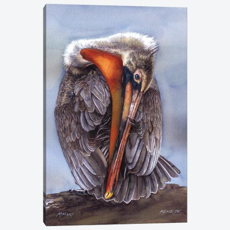 Pelican Canvas Print #RJR69} by REME Jr Canvas Art Print