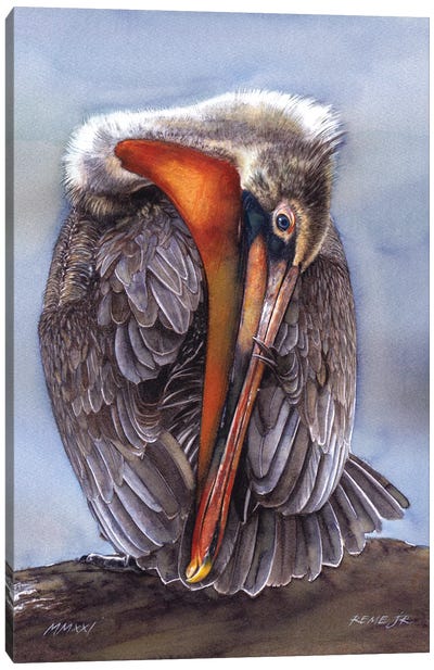 Pelican Canvas Art Print - REME Jr
