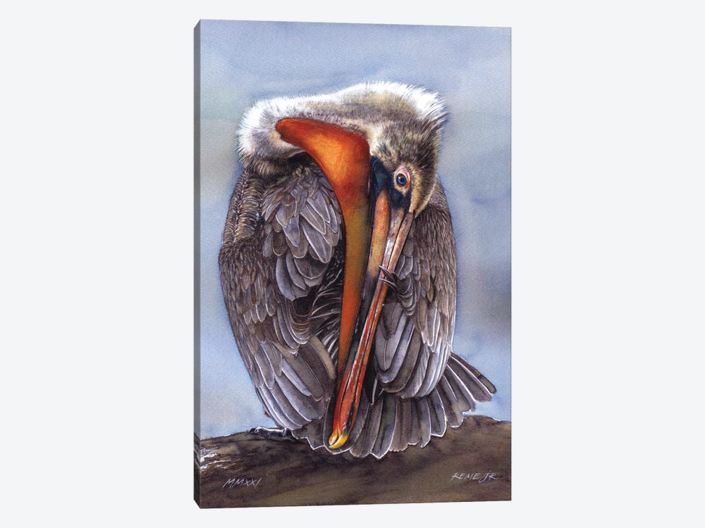 Pelican by REME Jr 1-piece Canvas Print